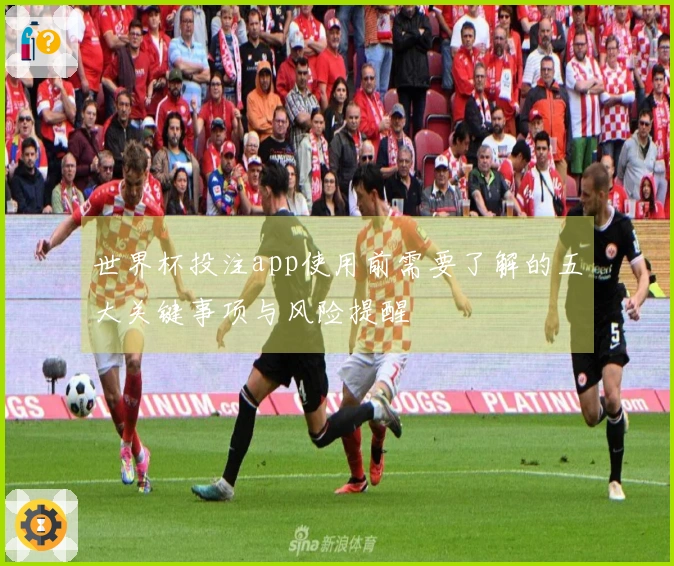 世界杯投注app使用前需要了解的五大关键事项与风险提醒