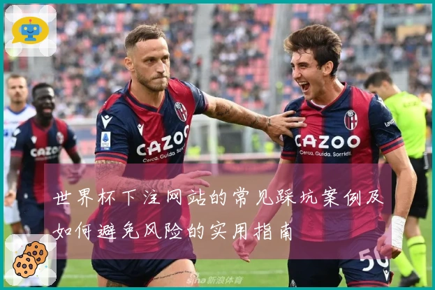 世界杯下注网站的常见踩坑案例及如何避免风险的实用指南