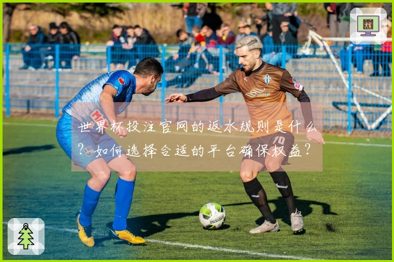 世界杯投注官网的返水规则是什么？如何选择合适的平台确保权益？