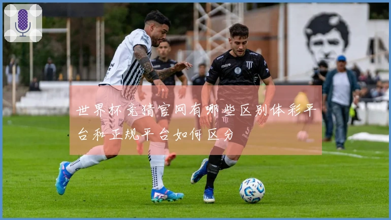 世界杯竞猜官网有哪些区别体彩平台和正规平台如何区分