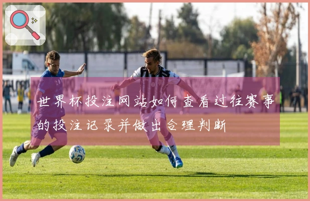 世界杯投注网站如何查看过往赛事的投注记录并做出合理判断