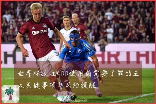 世界杯投注app使用前需要了解的五大关键事项与风险提醒