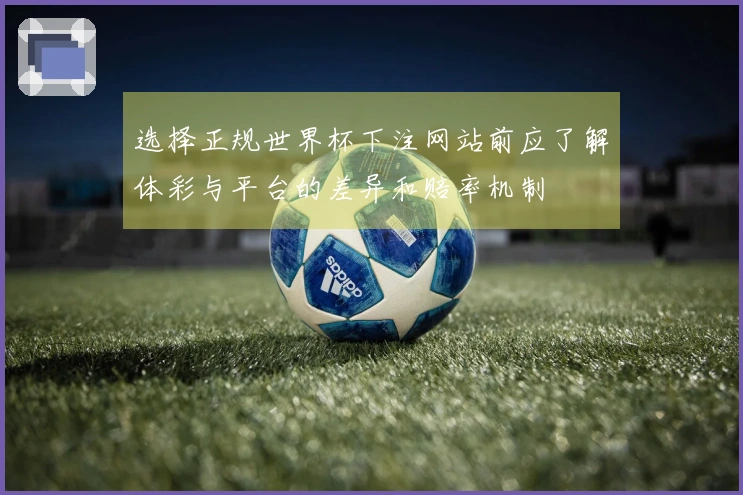选择正规世界杯下注网站前应了解体彩与平台的差异和赔率机制
