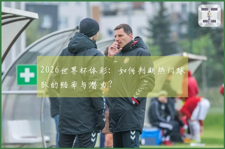 2026世界杯体彩：如何判断热门球队的赔率与潜力？