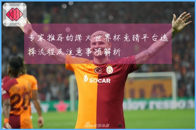 专家推荐的烽火世界杯竞猜平台选择流程及注意事项解析