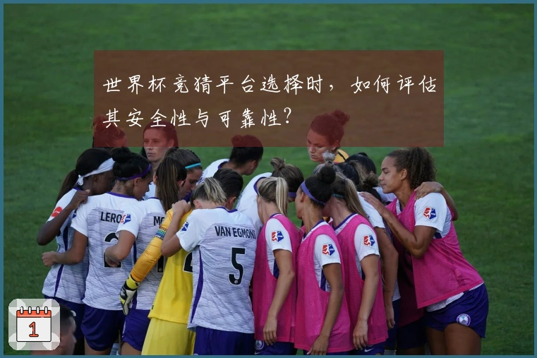 世界杯竞猜平台选择时，如何评估其安全性与可靠性？