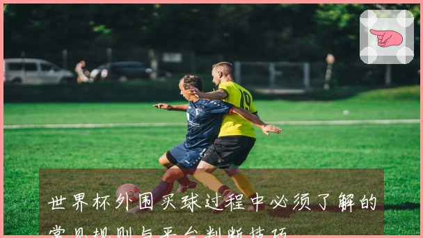 世界杯外围买球过程中必须了解的常见规则与平台判断技巧
