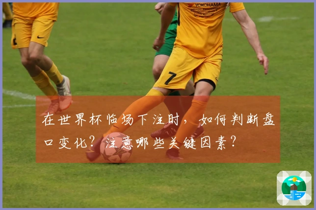 在世界杯临场下注时，如何判断盘口变化？注意哪些关键因素？