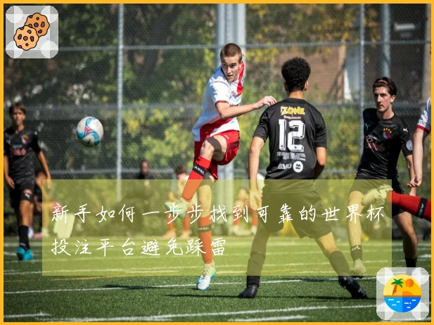 新手如何一步步找到可靠的世界杯投注平台避免踩雷