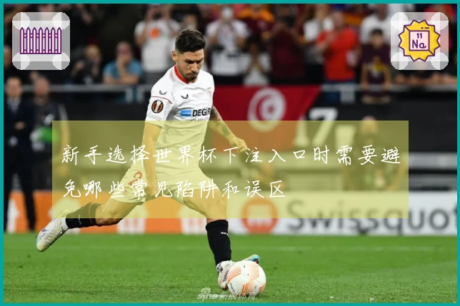 新手选择世界杯下注入口时需要避免哪些常见陷阱和误区