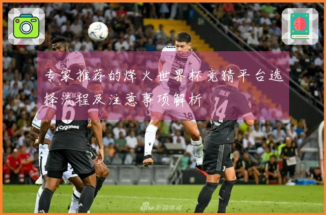 专家推荐的烽火世界杯竞猜平台选择流程及注意事项解析