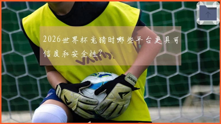 2026世界杯竞猜时哪些平台更具可信度和安全性？