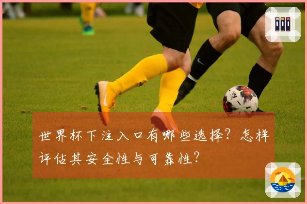 世界杯下注入口有哪些选择？怎样评估其安全性与可靠性？