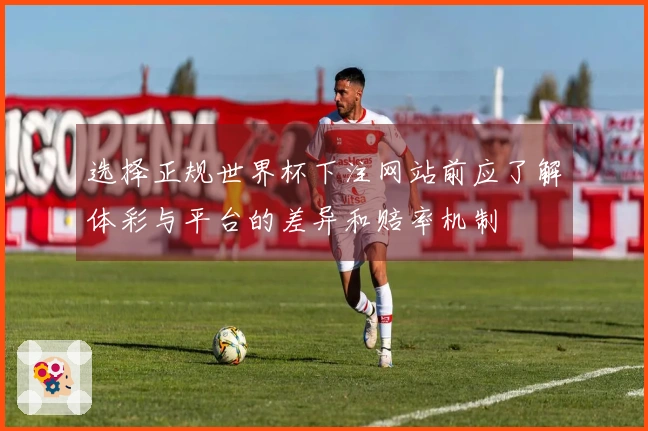 选择正规世界杯下注网站前应了解体彩与平台的差异和赔率机制