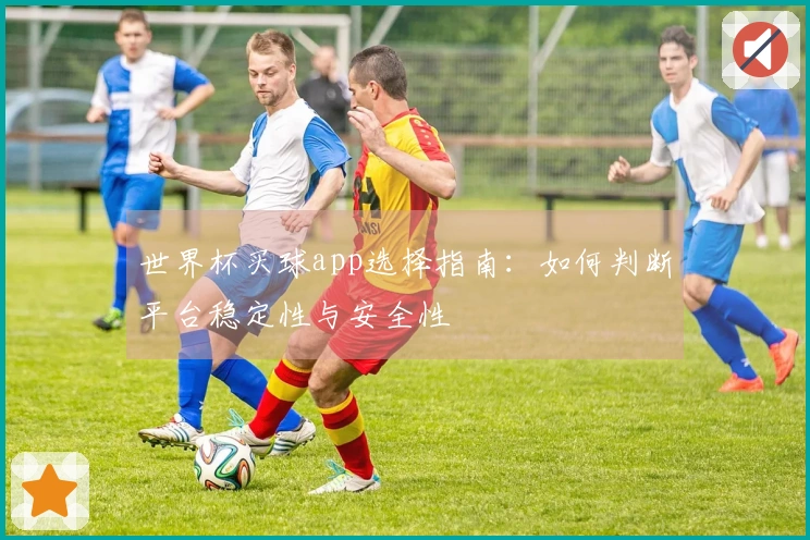 世界杯买球app选择指南：如何判断平台稳定性与安全性