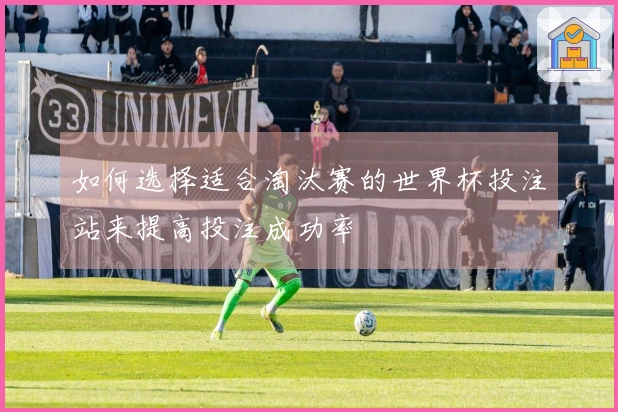 如何选择适合淘汰赛的世界杯投注站来提高投注成功率