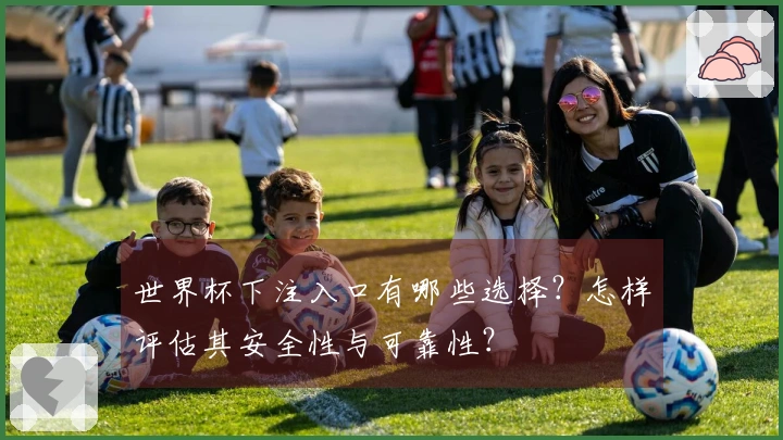 世界杯下注入口有哪些选择？怎样评估其安全性与可靠性？