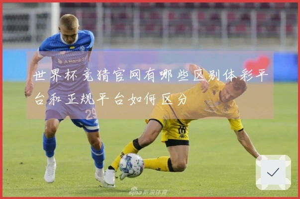 世界杯竞猜官网有哪些区别体彩平台和正规平台如何区分