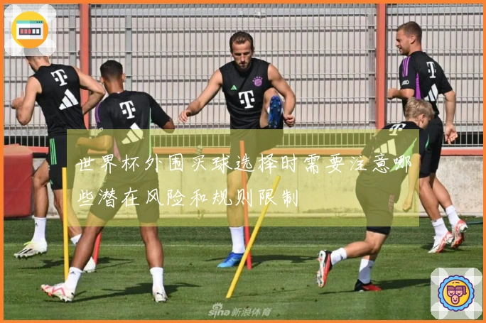 世界杯外围买球选择时需要注意哪些潜在风险和规则限制
