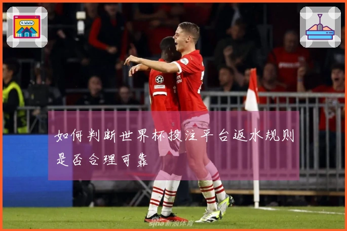 如何判断世界杯投注平台返水规则是否合理可靠